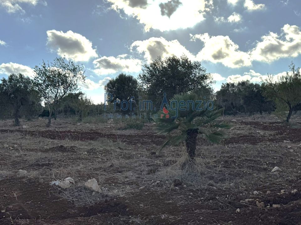 Helårsgrund i Carovigno, Brindisi - foto 2